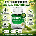 MORINGA PUREZA ULTRA ALTA